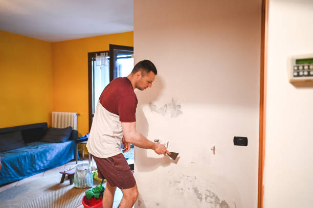 Best Residential Mold Removal  in Strum, WI