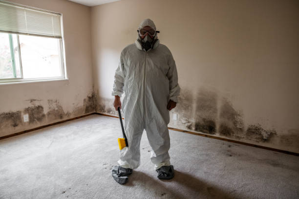 Best Professional Mold Removal  in Strum, WI